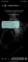Screenshot_20240427_160258_Messages.webp