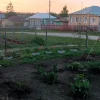 IMG20240427201142.webp