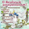 i.webp