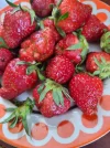 20240504_143904.webp