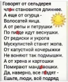 Скриншот 06-05-2024 105858.webp