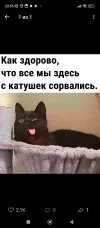 Screenshot_2024-05-06-23-55-32-608_com.vkontakte.android.webp