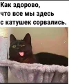 Скриншот 08-05-2024 113526.webp