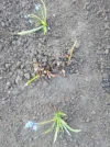 IMG_20240509_202505.webp