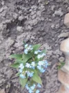 IMG_20240509_202530.webp