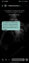 Screenshot_20240515_160340_Messages.webp
