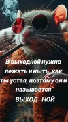 088e1fb99b857228f507f1c096cdb33d.webp