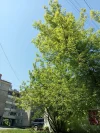IMG_20240524_142628.webp