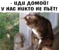7ac3e8b0124fadfa2f1411fa8db6a60c.webp