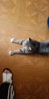 IMG-16b17aed5d70f8ddaa9739ea685eb20b-V.webp