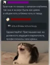 Скриншот 27-05-2024 124506.webp