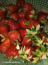 IMG_2024_05_27_19_58_34_0885665969656699368155.webp