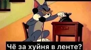 Скриншот 30-05-2024 165122.webp