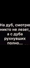 Screenshot_2024-05-30-17-45-00-183_com.vkontakte.android.webp