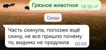 Screenshot_20240607_111826.webp
