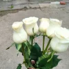 IMG20240608083746.webp