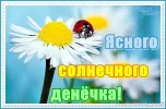 i (1).webp