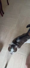 IMG20240616130053.webp