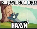 Скриншот 27-06-2024 135854.webp