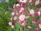 IMG_20240625_161101.webp