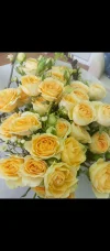 Screenshot_2024-06-30-14-17-47-233_com.miui.gallery.webp