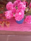 IMG_20240702_094114.webp