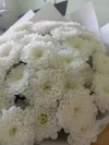IMG_20240702_114303.webp