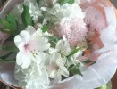 Скриншот 10-07-2024 161429.webp