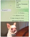 Скриншот 18-07-2024 151944.webp