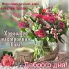R9vCKVKijoM.webp