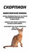 IMG_0030.webp