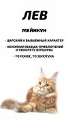 IMG_0039.webp