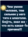 Скриншот 31-07-2024 154434.webp