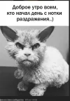 Скриншот 01-08-2024 103055.webp