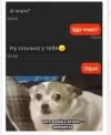 Скриншот 05-08-2024 144522.webp