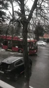 F72BC3DC-DDDC-4F15-BE79-2F55EBBE04ED.webp