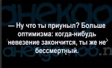 Скриншот 30-08-2024 161657.webp
