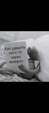 Screenshot_2024-08-30-20-17-48-301_com.vkontakte.android.webp