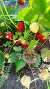 1000017154.webp