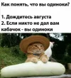 3a7e39f5853b4f0d7c7745eb76f260af.webp