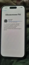 17260470377823349660536279258805.webp