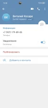 Screenshot_20241002_152822_org_telegram_messenger_LaunchActivity.webp