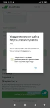 Screenshot_2024-10-22-19-58-54-428_com.yandex.browser.webp