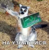 UsIP356RYbg.webp