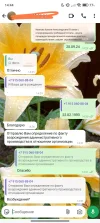 Screenshot_2024-10-28-14-44-24-944_com.whatsapp-edit.webp