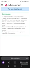 Screenshot_2024-11-16-00-59-49-042_com.yandex.browser.webp