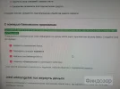 17319253739561889414627478455391.webp
