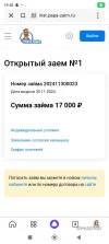 Screenshot_2024-11-30-19-48-06-431_ru.yandex.searchplugin.webp
