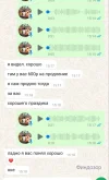 5337321327658397300.webp