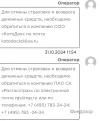 1733404850254.webp